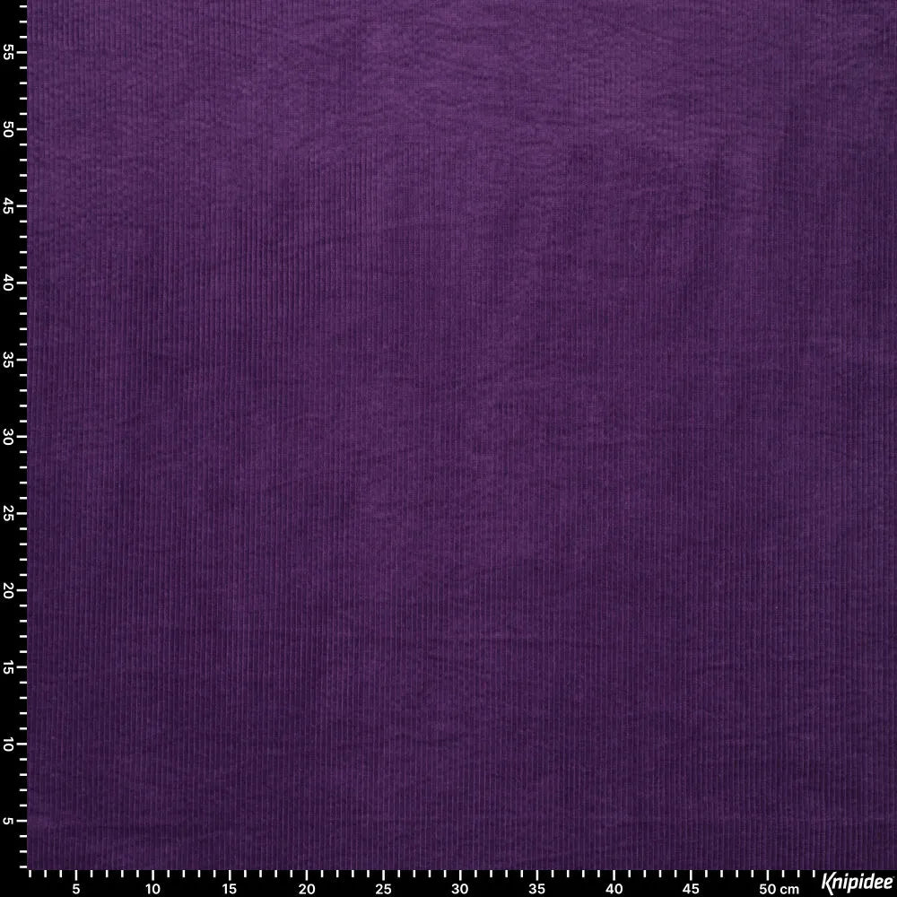 KN0779-805
