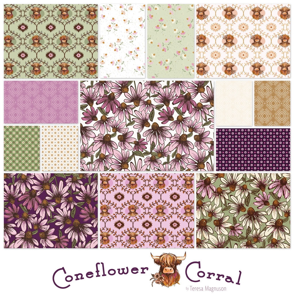 Coneflower Corral by Teresa Magnuson
