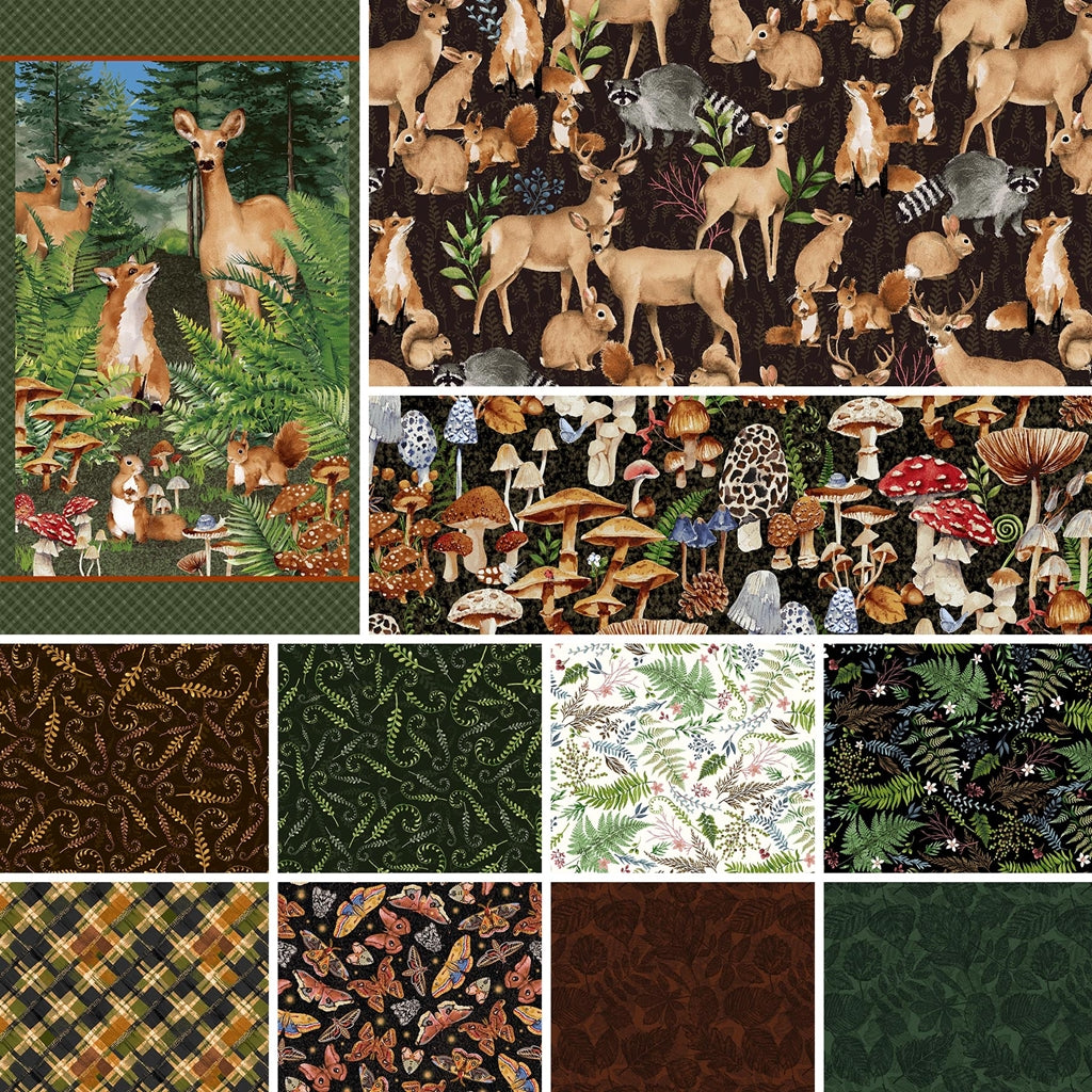 Forest Floor by Barb Tourtillotte