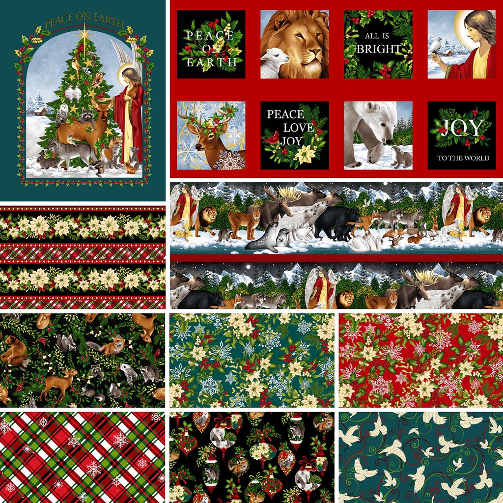 Peace On Earth - Color Principle