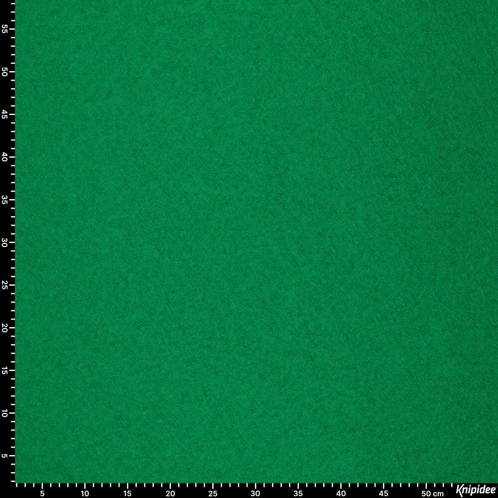 KN0454-309