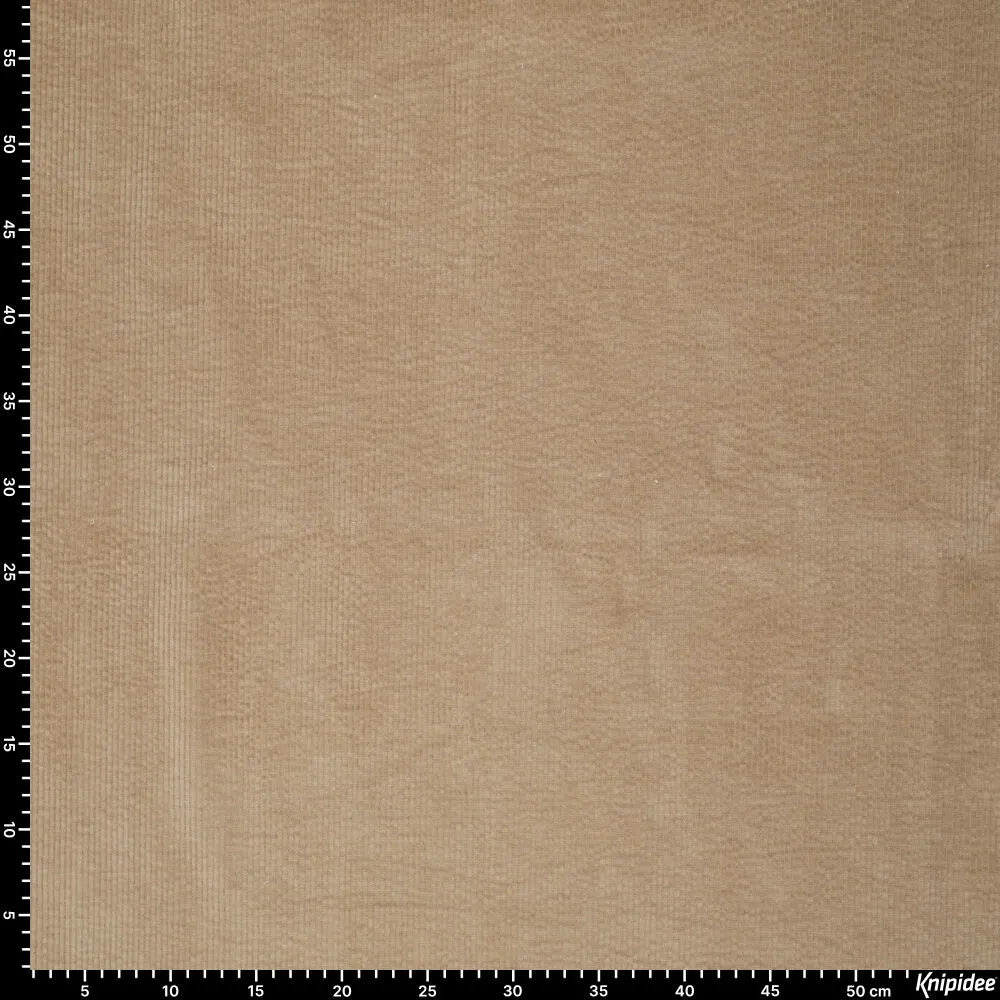 KN0779-095