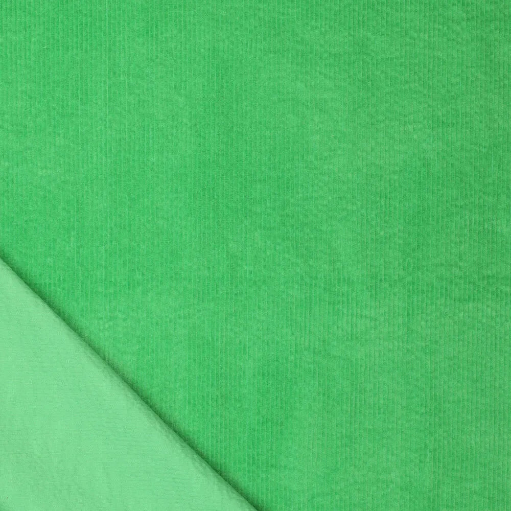 KN0779-309