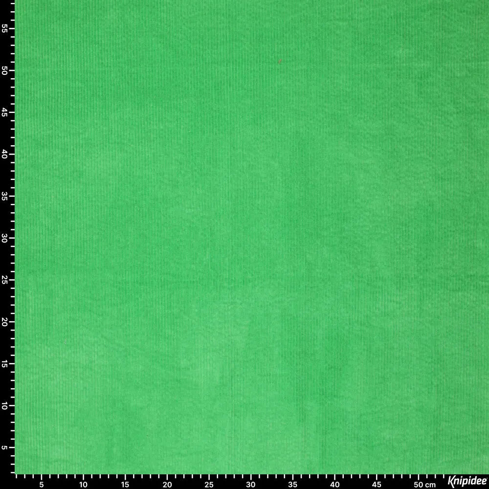 KN0779-309