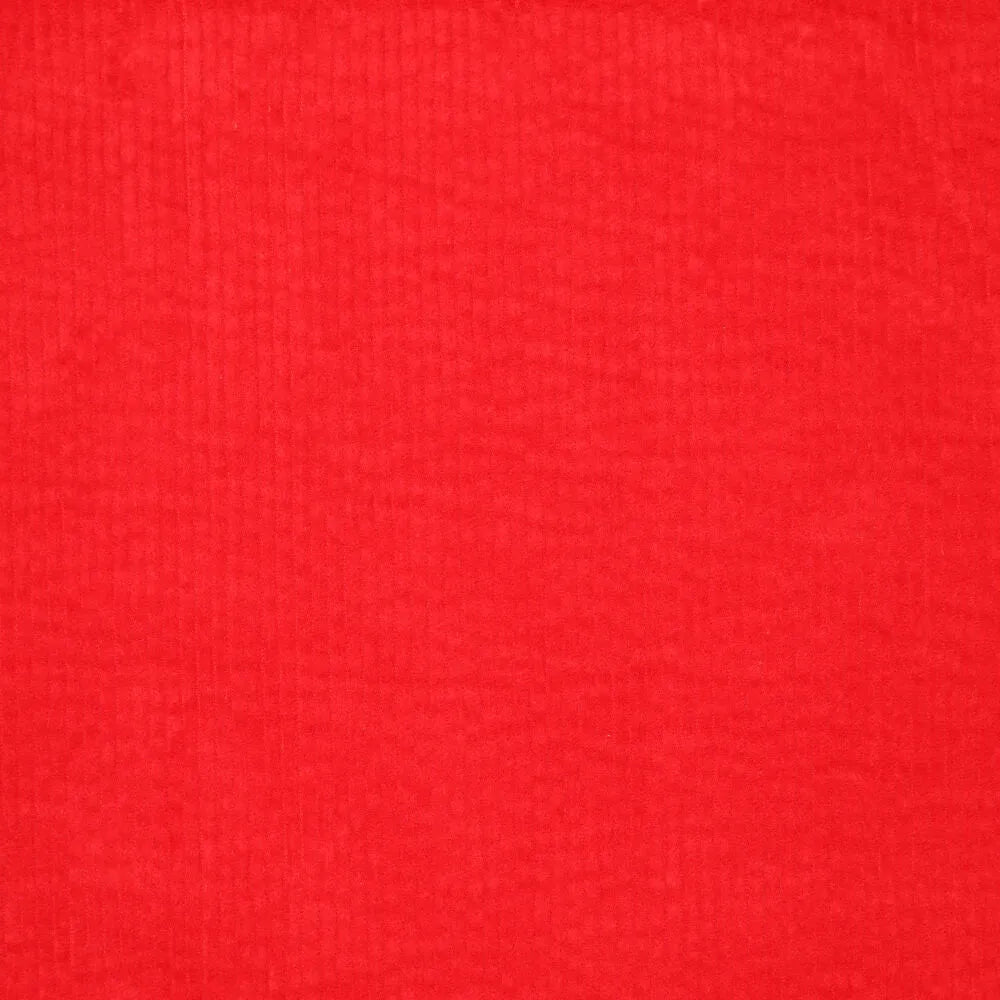 KN0779-425