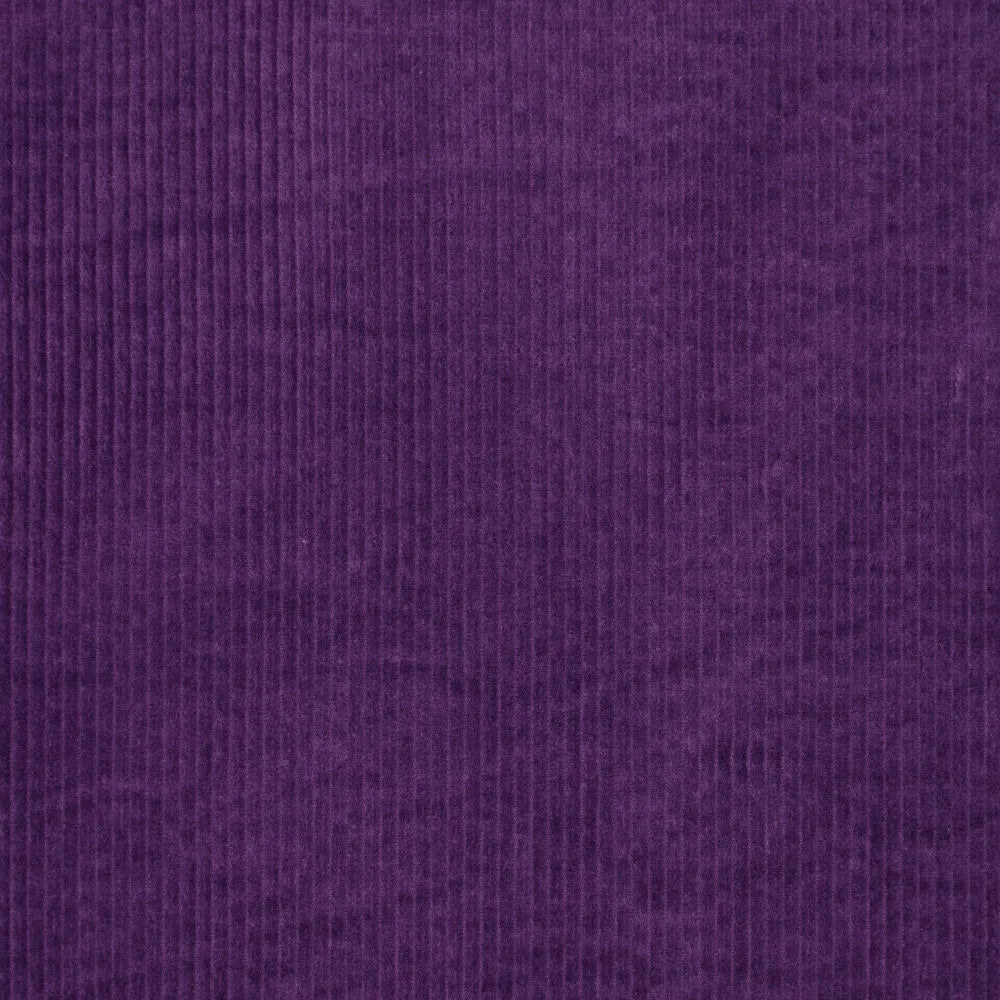 KN0779-805