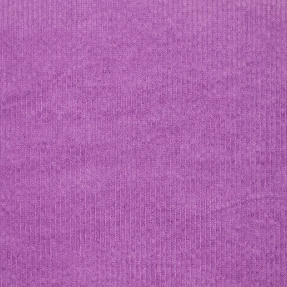KN0779-835