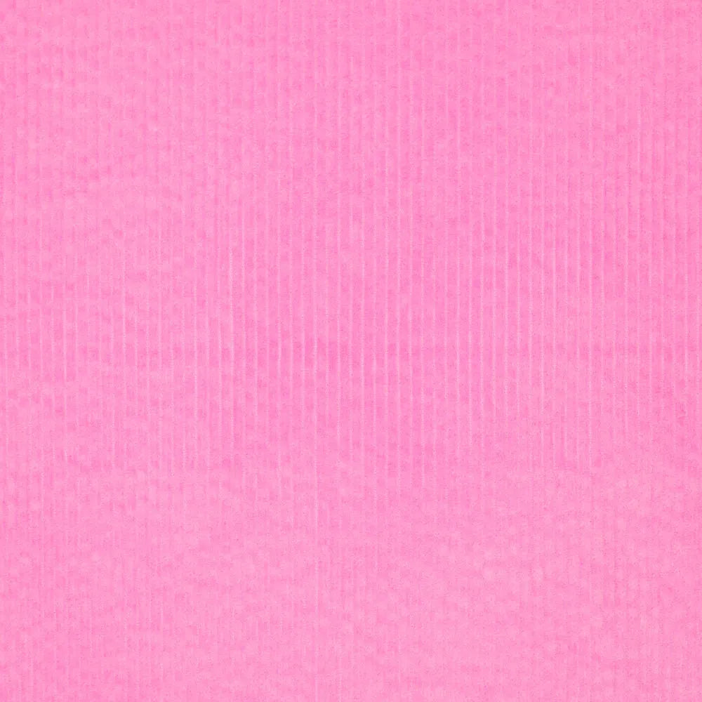 KN0779-870