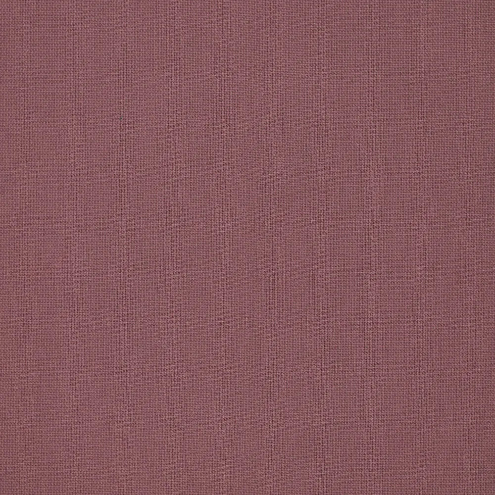 KN0788-815
