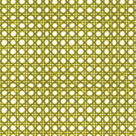 CL229800