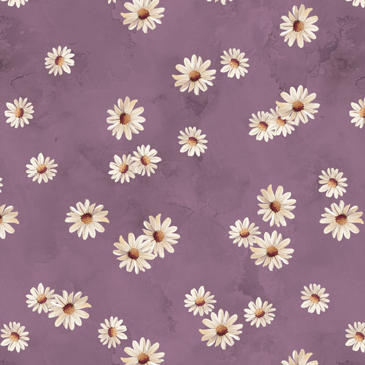 Daisy