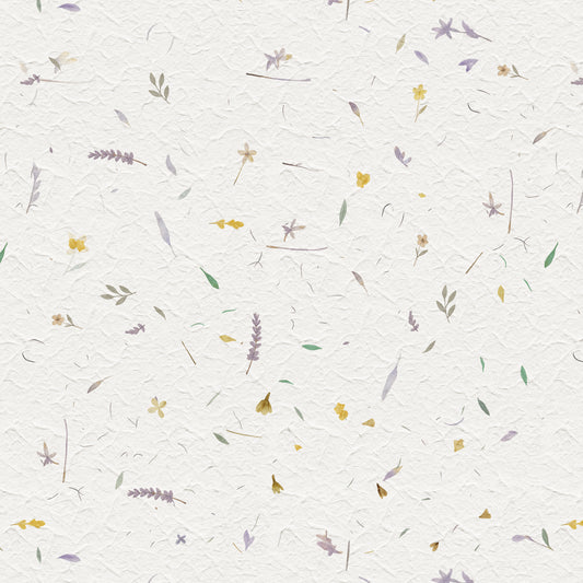 Pressed Paper