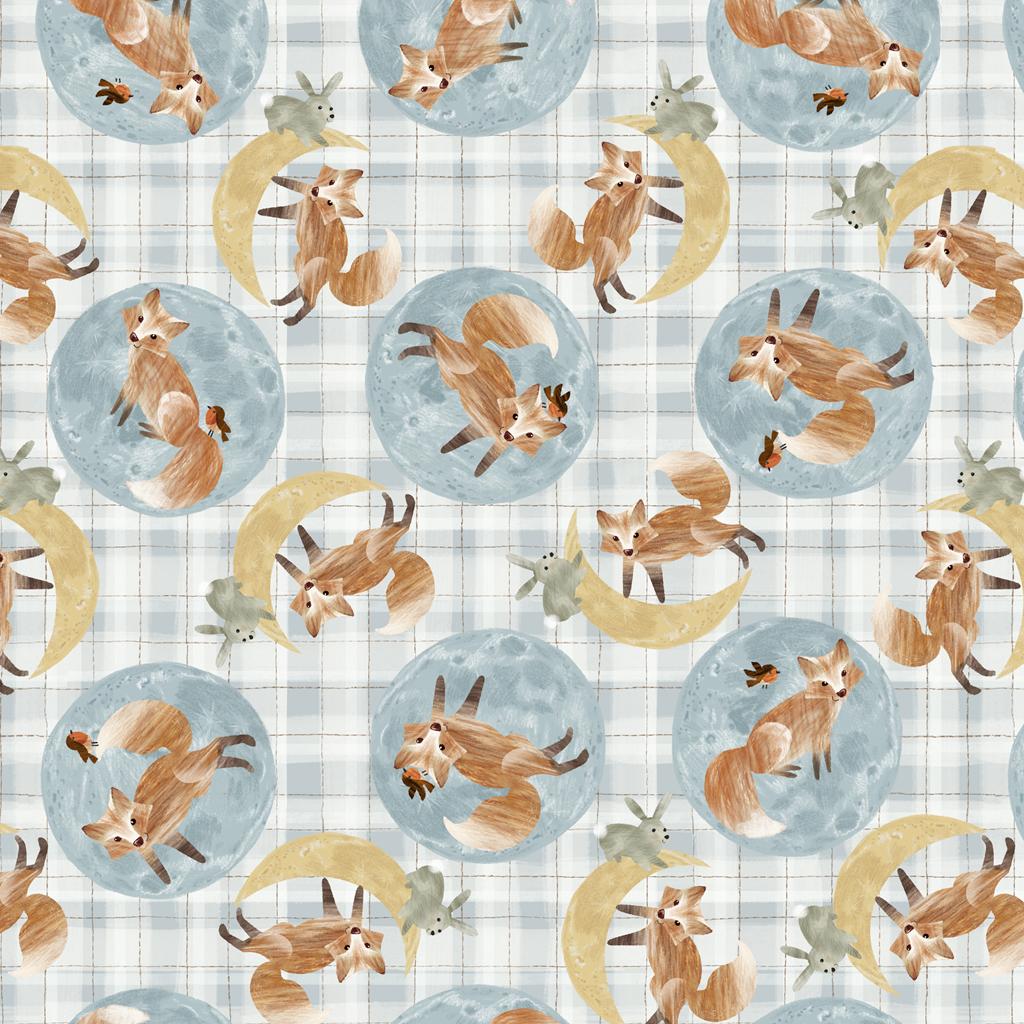 Foxes and Moons