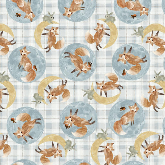 Foxes and Moons