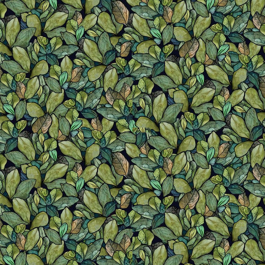 Leaves