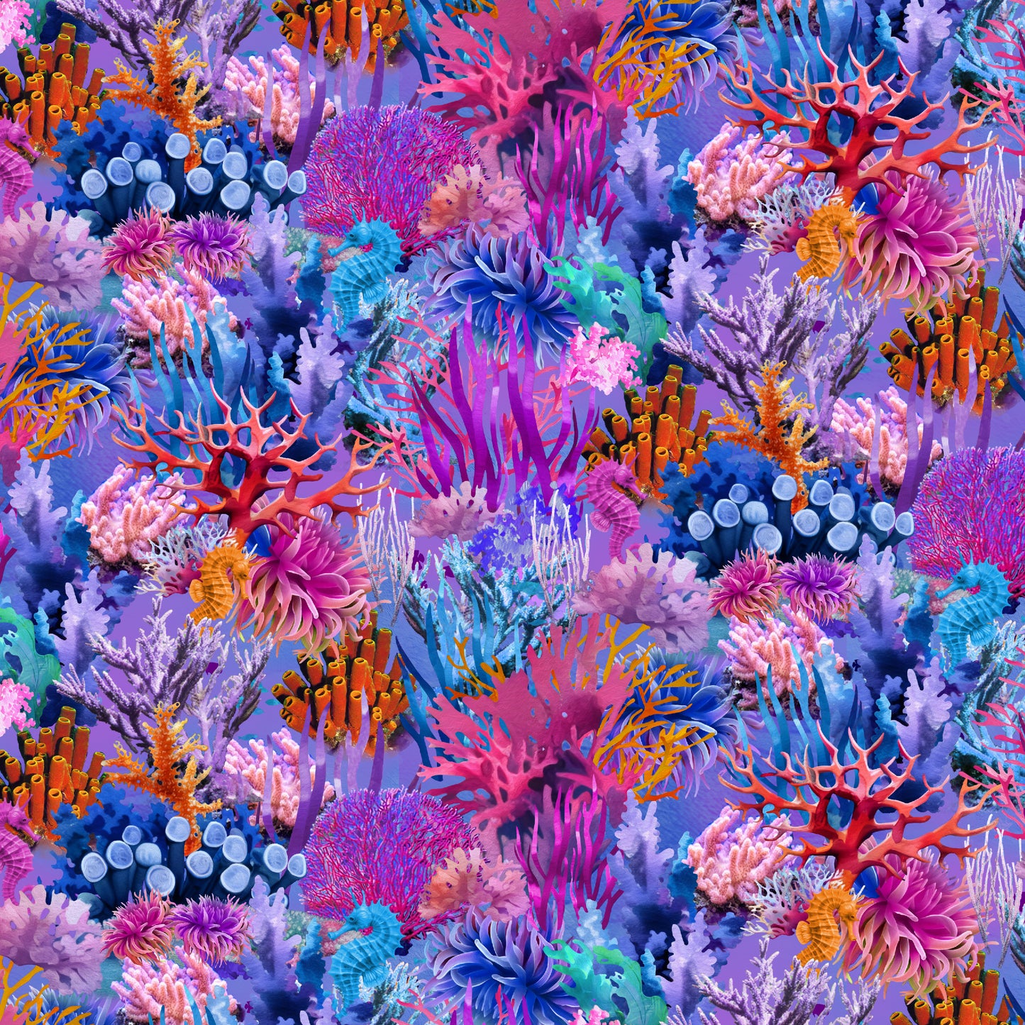 Coral Reef