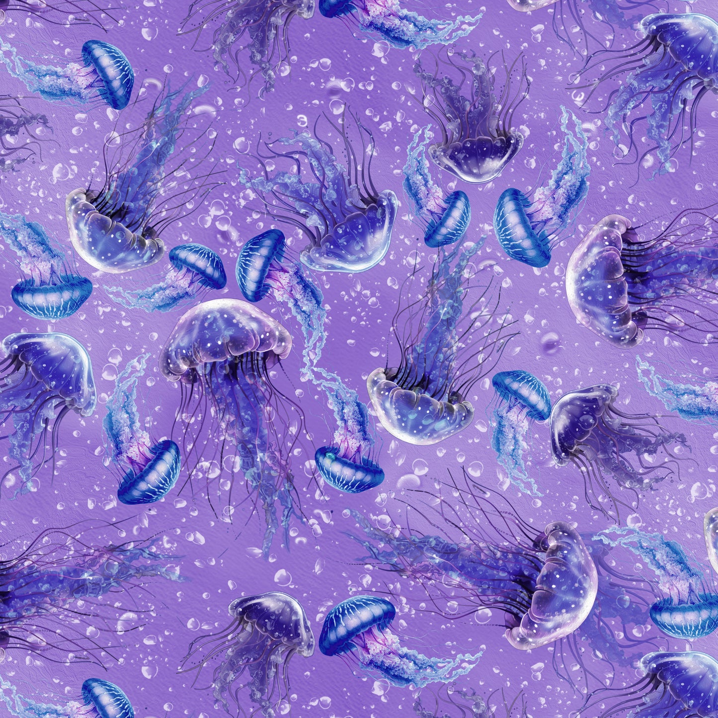Jellyfish