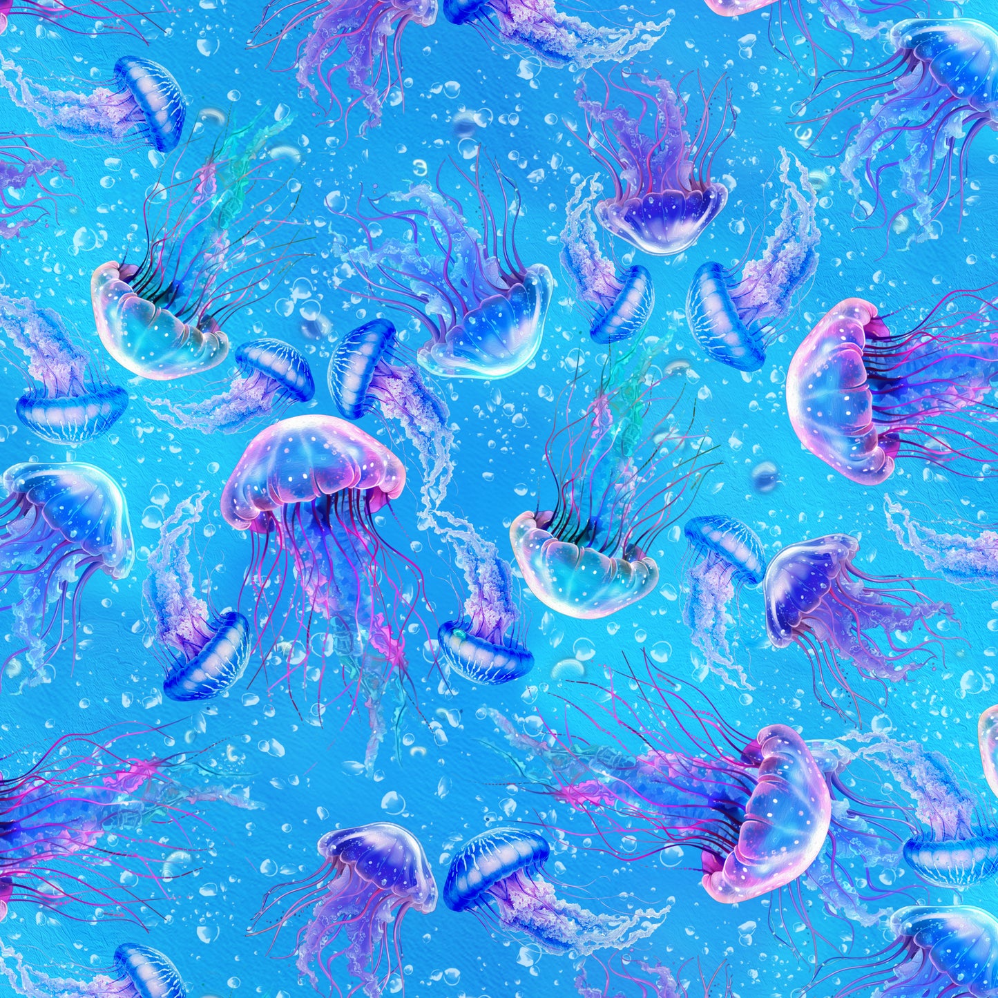 Jellyfish