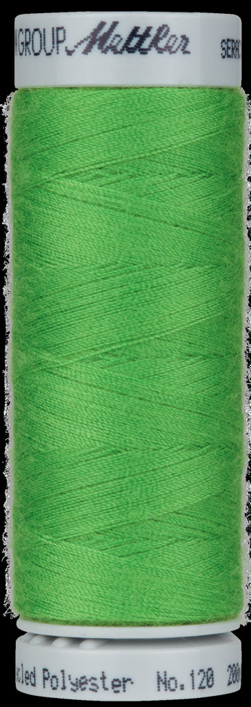 AM2001-1099