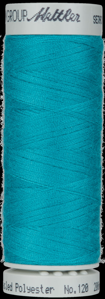 AM2001-1394