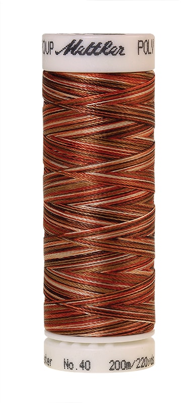 AM4820-9302