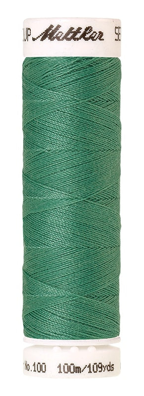AM6677-0907