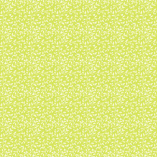 Berry Vine - Lime