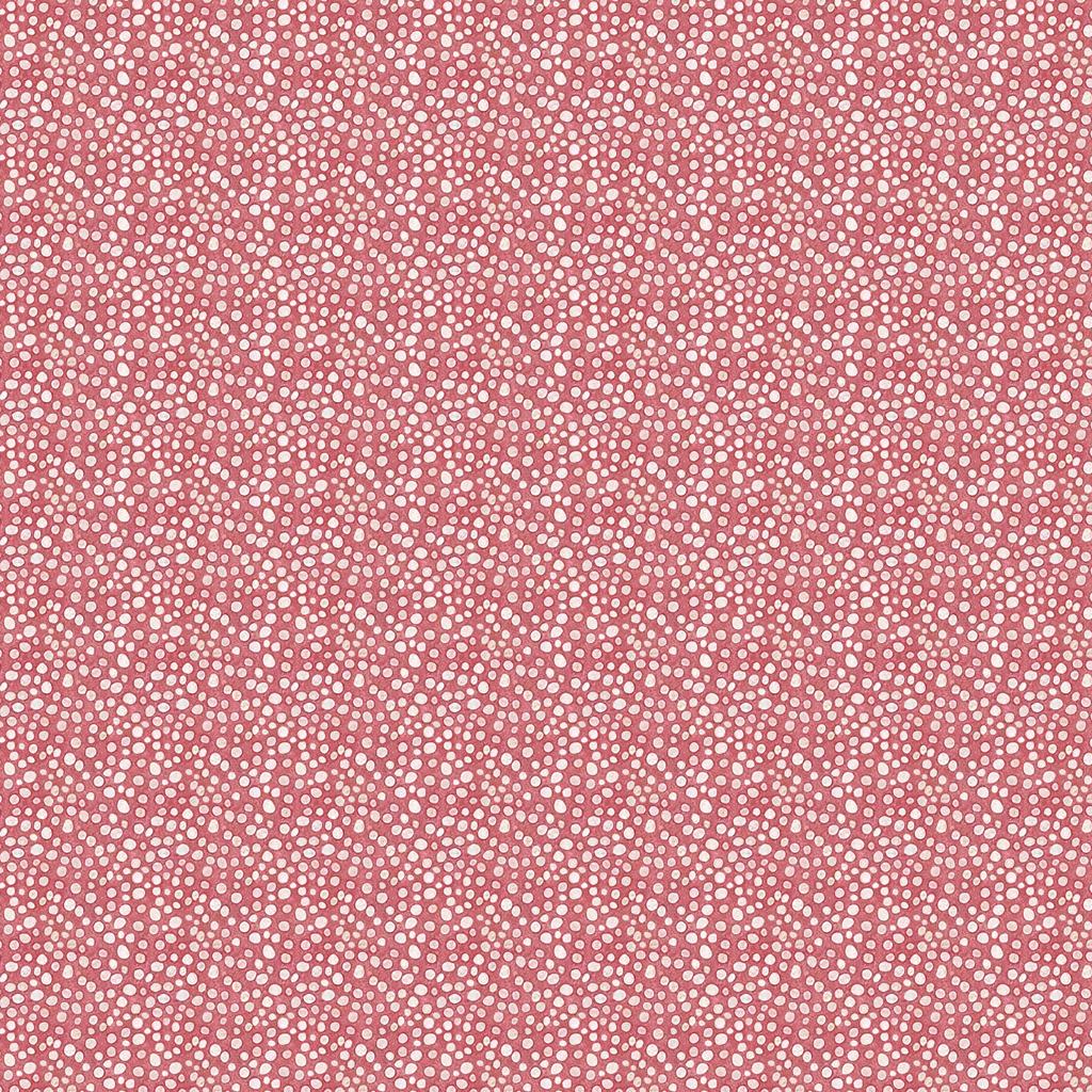 Dots Texture - Salmon