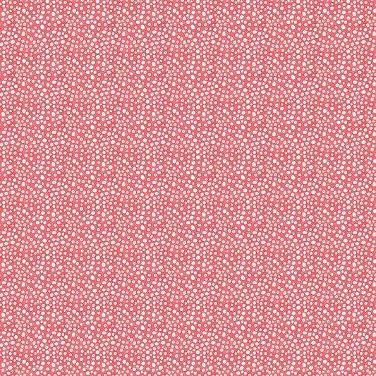 Dots Texture - Salmon