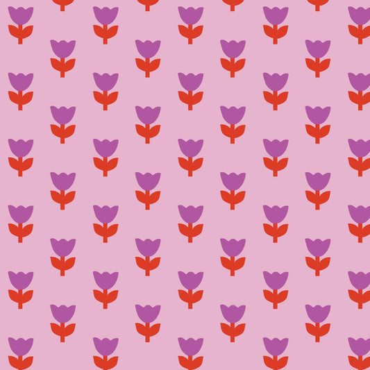 Tulip Tango - Pink