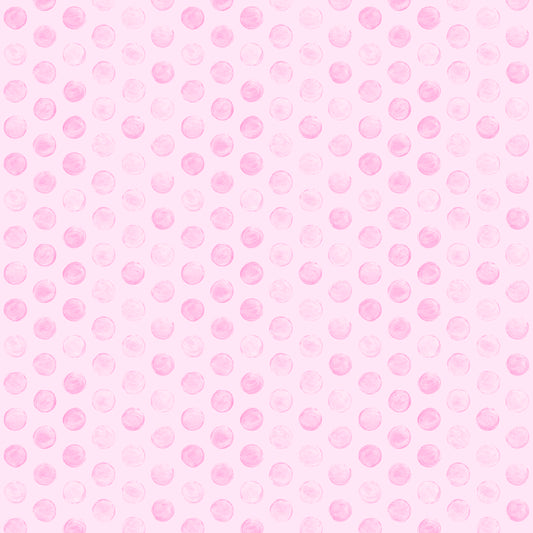 Raspberry