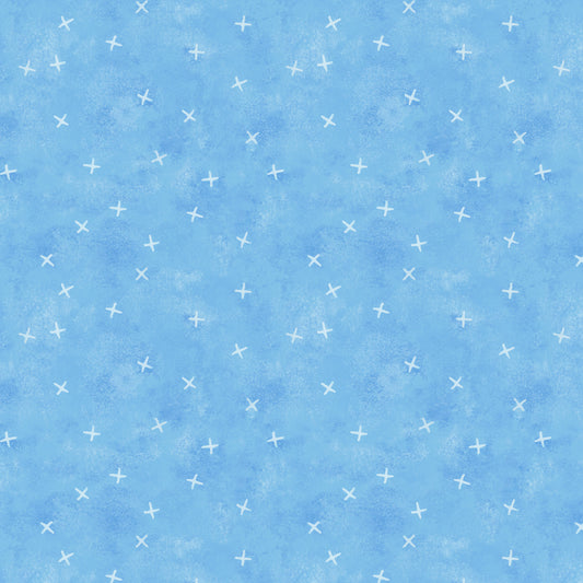 Blueberry