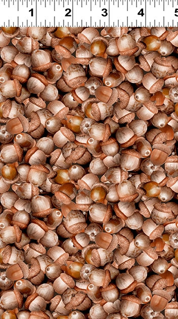 Acorns - Light Brown