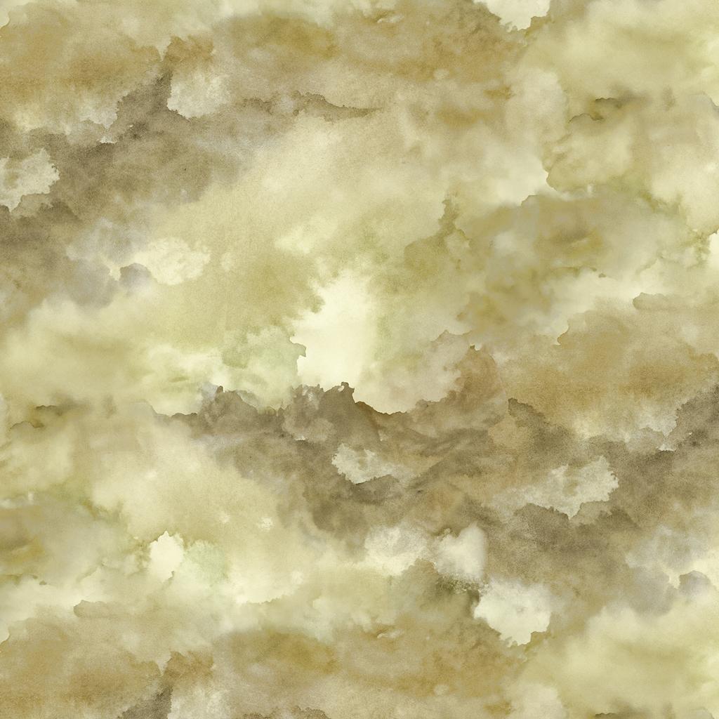 Cloudy Sky Moss