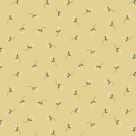 Tossed Daisy - Yellow
