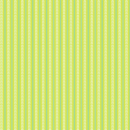 Vines - Lime