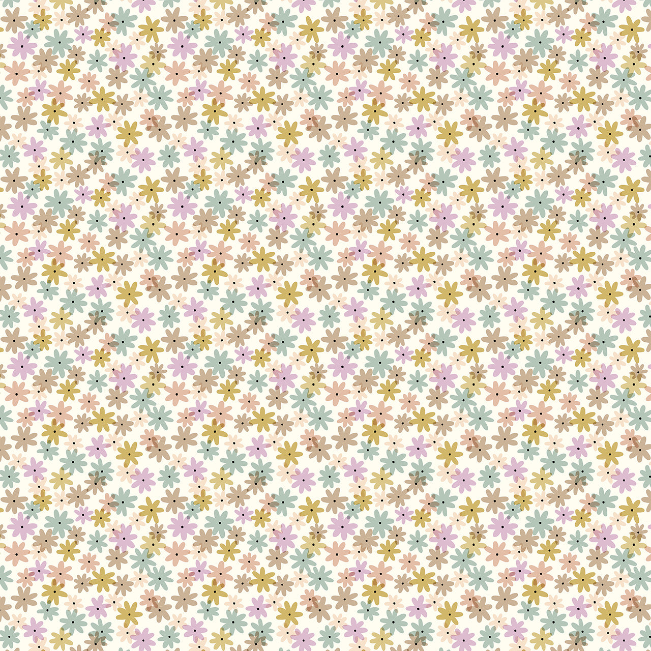 Daisy Field