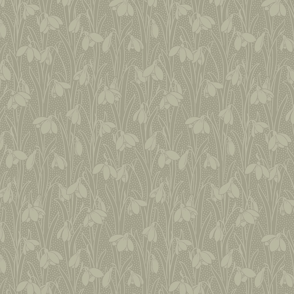 Lichen A