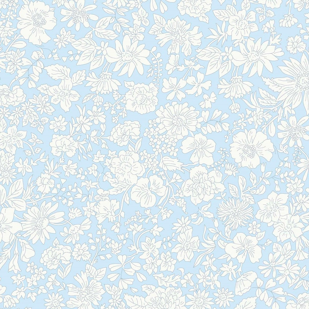 Emily Blossom Wide-Width Pale Sky 409A