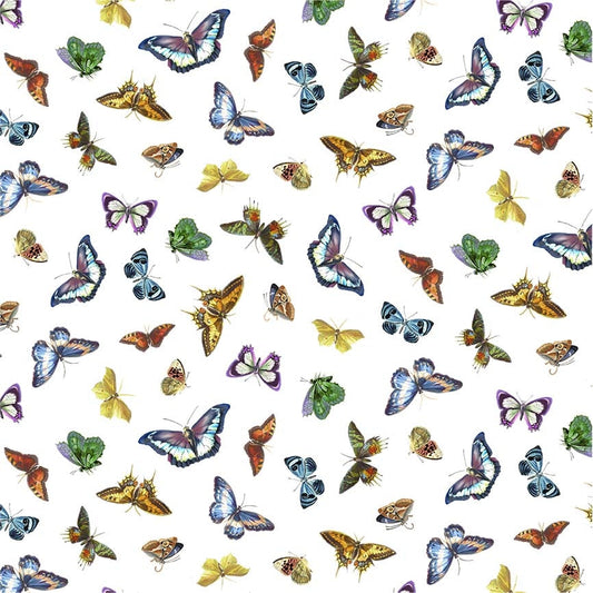 Bright Butterflies