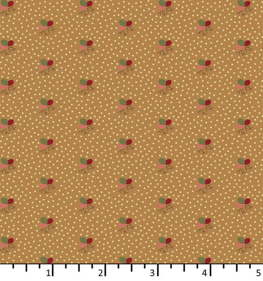 Seedlings - Wheat