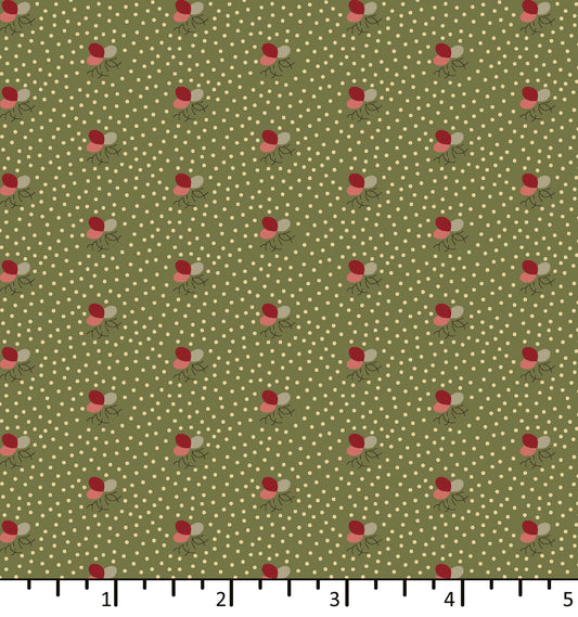 Seedlings - Green Lawn