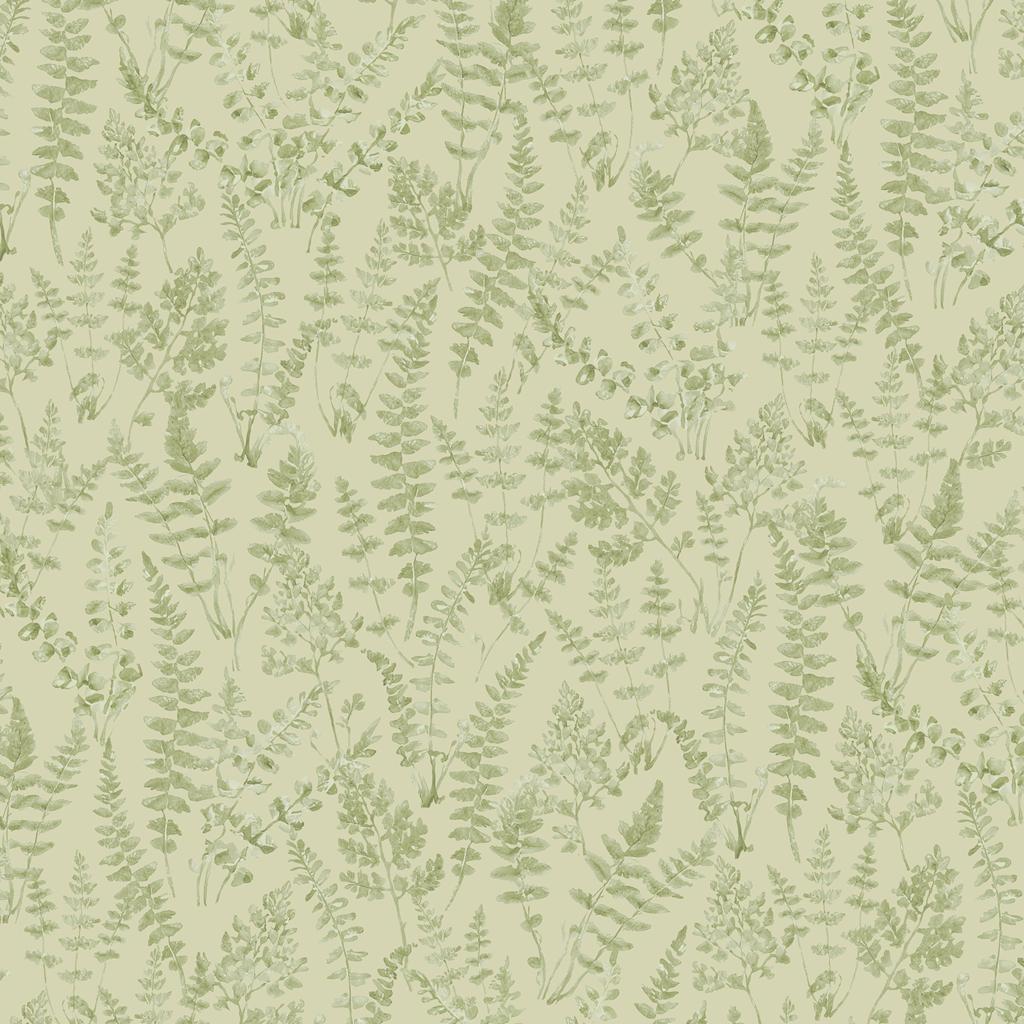 Tonal Ferns