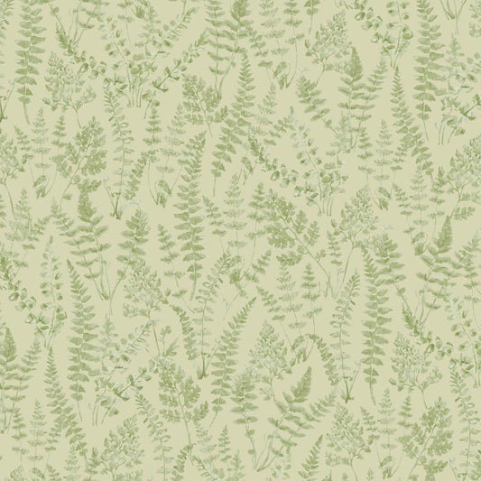 Tonal Ferns