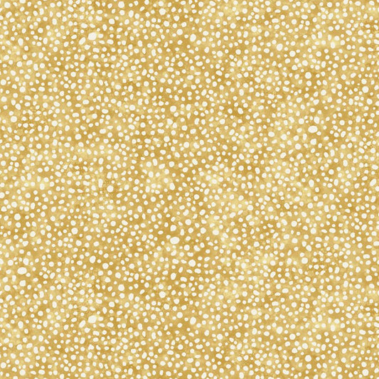 Mushroom Cap Dotty Allover