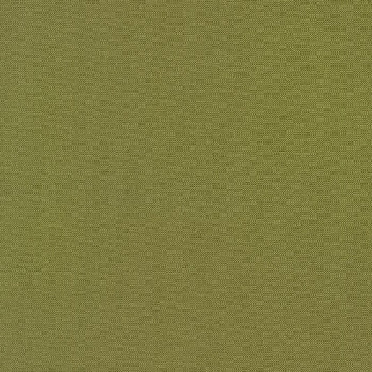 RKK001-165IVY