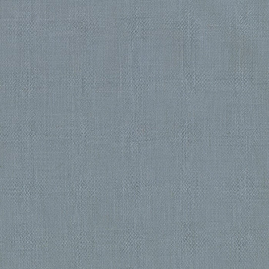 RKK001-1854SHARK
