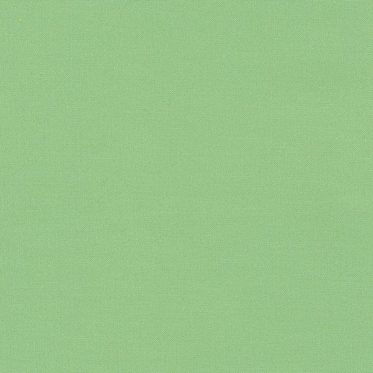 RKK001-29SPRING