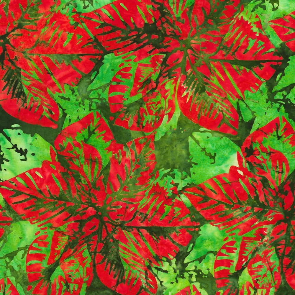 Large Poinsettias Double Tjap - Evergreen