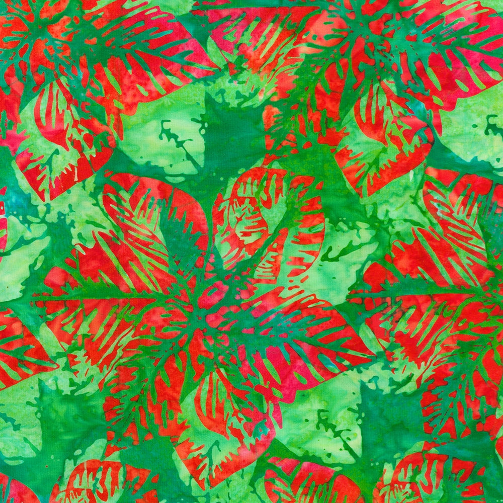 Large Poinsettias Double Tjap - Garden